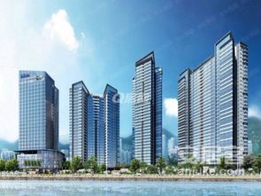 广东珠海香洲区口岸 一手楼盘 代理 专车接送